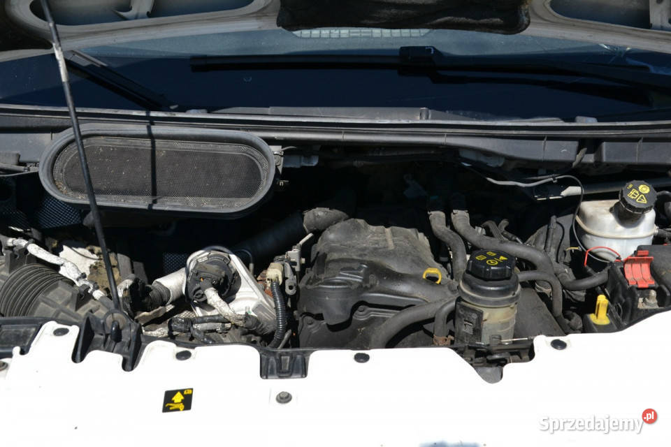 Ford Transit MAXI JUMBO L4H3 20diesel 170 Ford Kęty