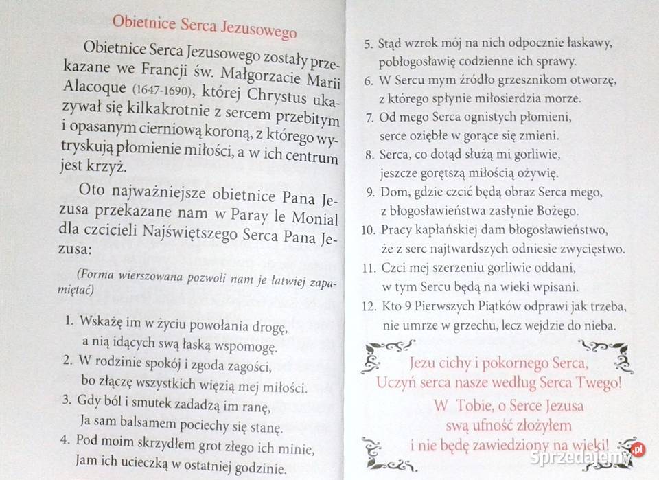 Pragnę Modlitewnik czcicieli Najświętszego Serca Chełm