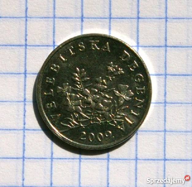 50 LIPA 2009 CHORWACJA sprzedam
