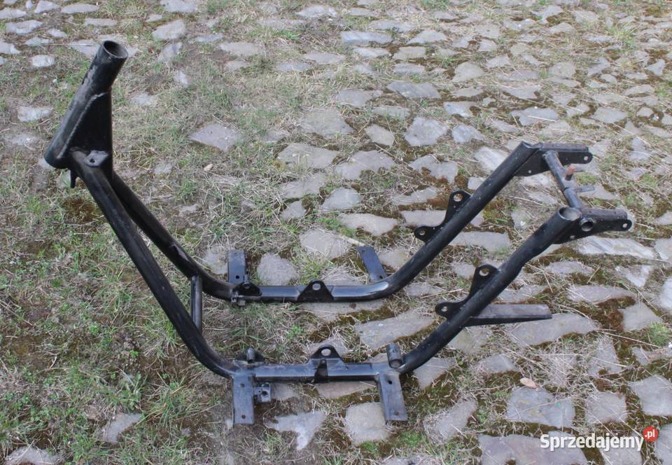 WFM OSA RAMA opolskie Głubczyce