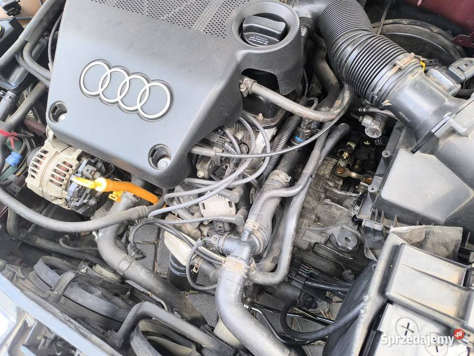 Audi A3 Krośniewice