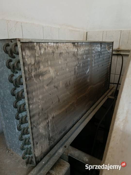 Zbiornik na mleko baniak Schładzalnik do mleka Szpakowo