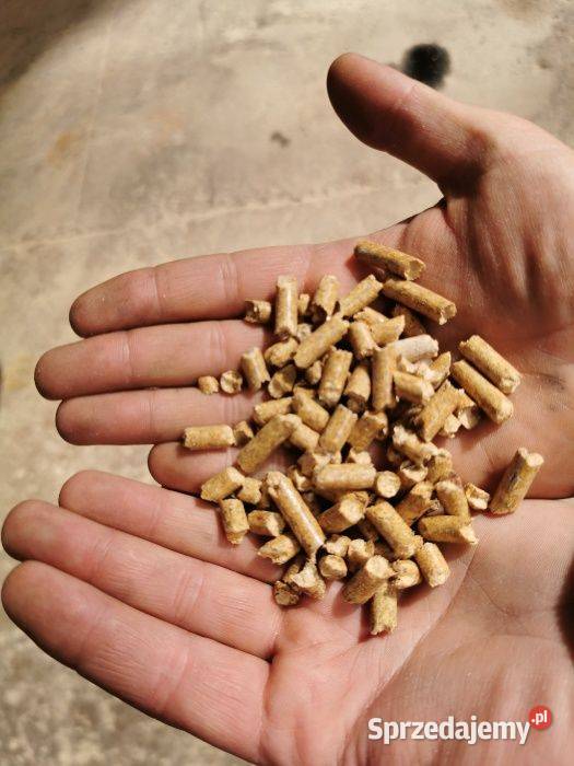 Pellet drzewny certyfikowany ENplus A1 Producent mazowieckie Piaseczno