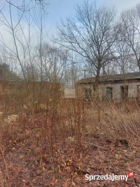 sprzedaży działki Zagościniec 2256m2 mazowieckie
