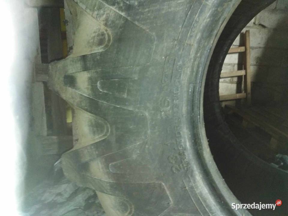 Pirelli 231 26 Dziwie