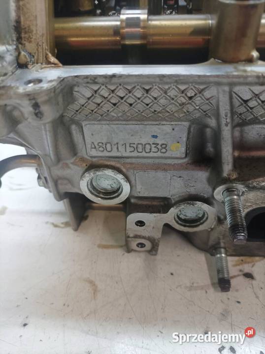 GŁOWICA KOMPLETNA A801150038 10 VTEC Honda Civic osobowe sprzedam