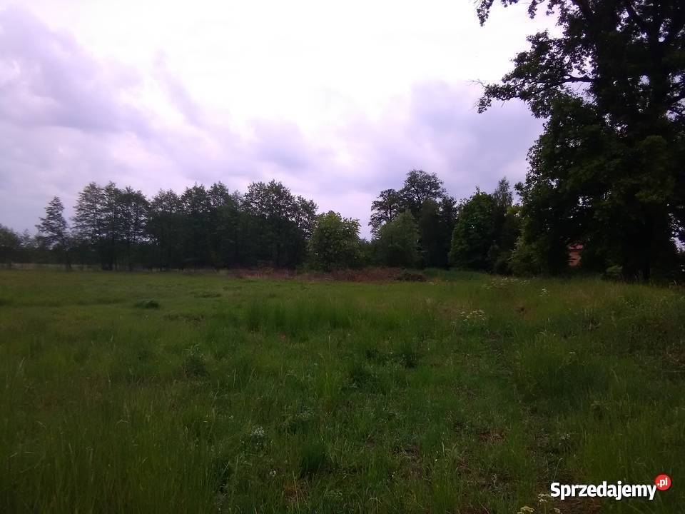 działka Gubin Guben Żenichów zachód nowe 39m
