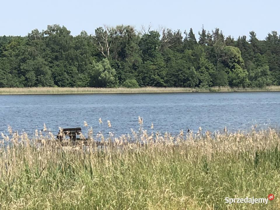 Działka rekreacyjna jeziorze 2 Olsztynka 1552m warmińsko-mazurskie Jemiołowo