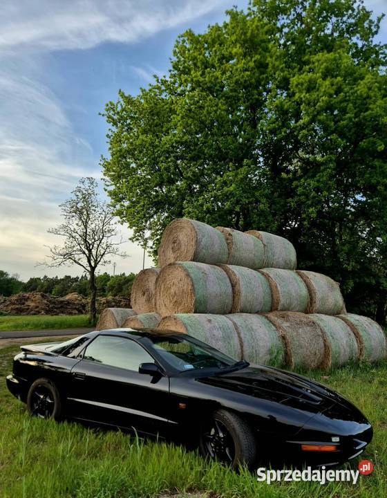 Pontiac Firebird Chevrolet Camaro 208KM Szamotuły