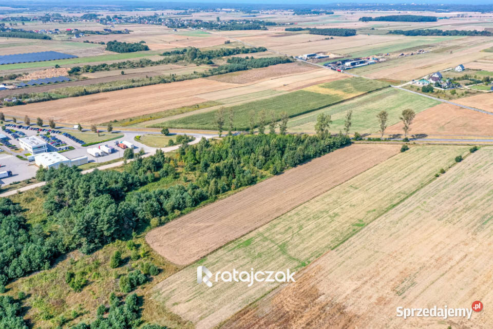 sprzedaży gruntu 9632m2 Łebcz Dr Augusta Sprzedaż