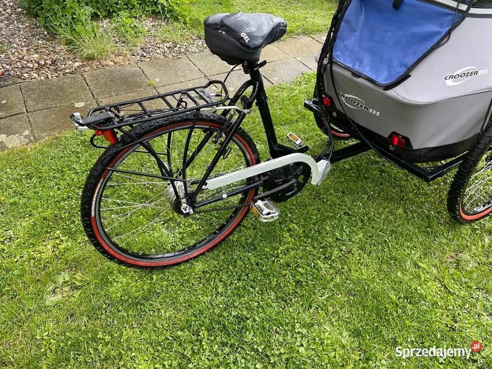 Rower elektryczny e bike towarowy ebike do Głogów