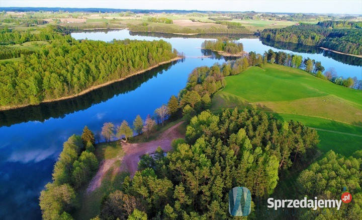 Działka 50600m2 Udziejek