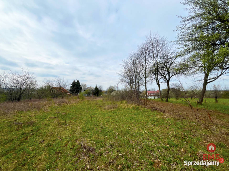 Grunt 5350m2 Nowe Aleksandrowo