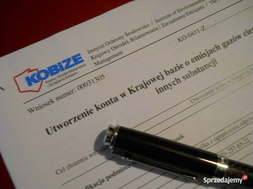 Raport KOBiZE Wykonanie sprawozdania do bazy Wrocław