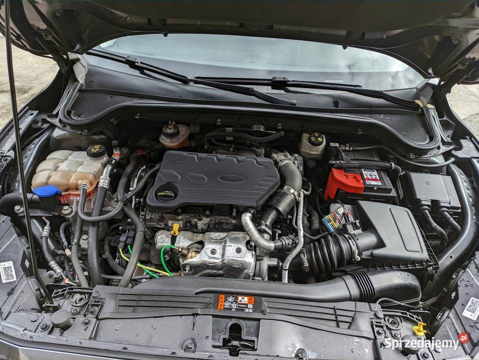 Ford Focus MK4 15 EcoBoost Jarząbki