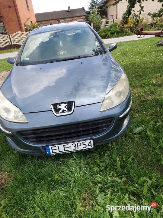 Peugeot 407 20 Hdi Sługi