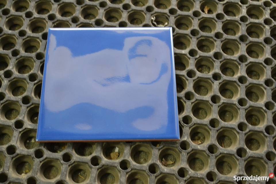 WIOSNA COBALT POŁYSK POLCOLORIT 20X20 OUTLET Zakopane sprzedam