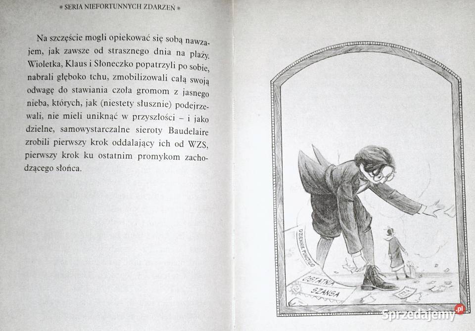 Wredna wioska Seria niefortunnych zdarzeń Lemony Rok wydania 2005 sprzedam