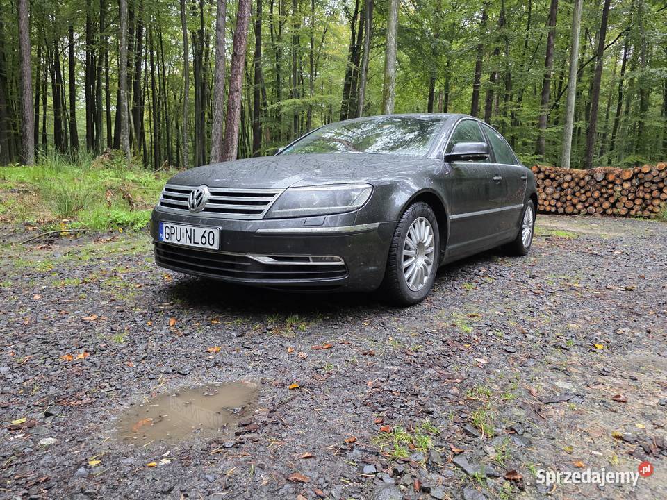Vw Phaeton diesel sprzedam