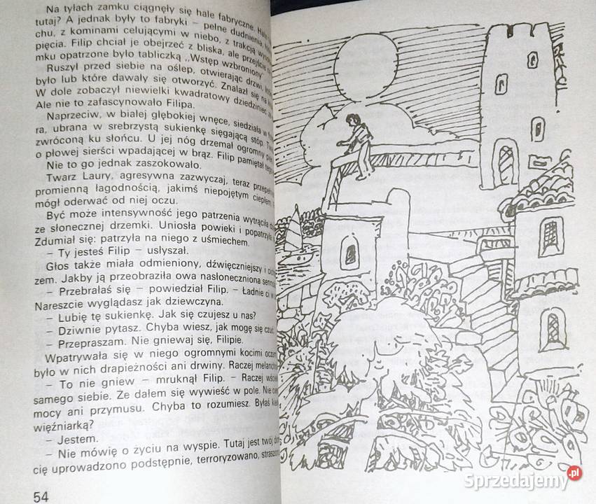 Zakładnik szaleńca Aleksander Minkowski miękka Chełm