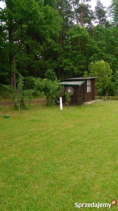 działka ogrodnicza Olsztyn Nieruchomości sprzedam