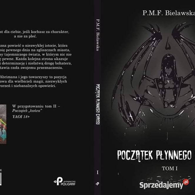 Początek płynnego chaosu Legnica