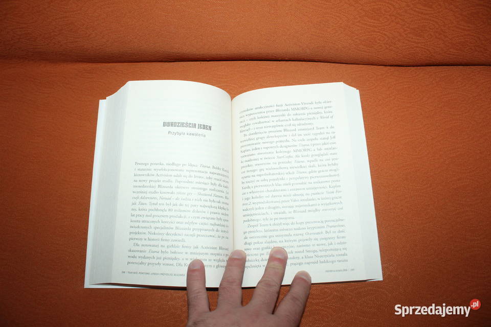 Play Nice Powstanie upadek i przyszłość Chorzów