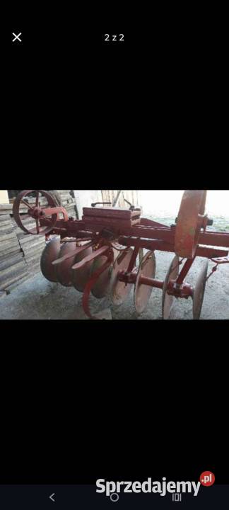 Dzik 21 Pozostałe Bukowice