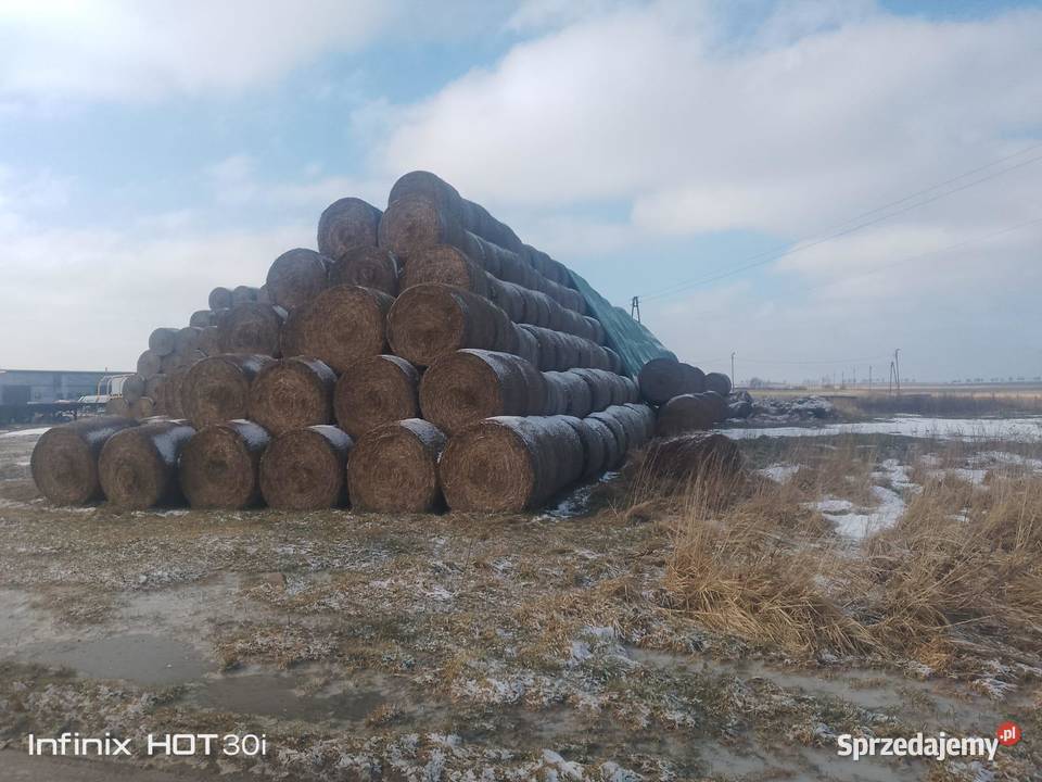 Sprzedam słomę Trawy, słoma opolskie Sternalice