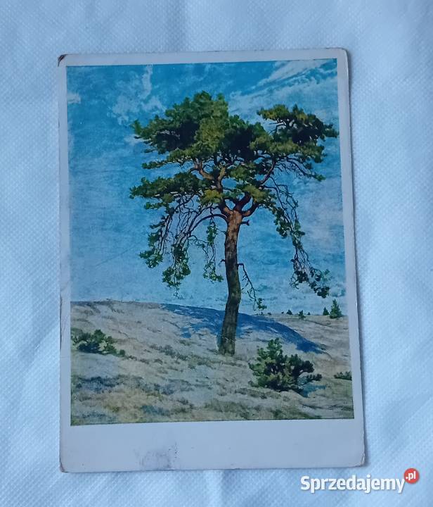 Pocztówka obraz Maler im Wartheland Poznań 1942 Koźminek