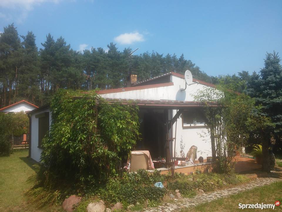 działka Grunty i działki Grunty i działki Pobiedziska