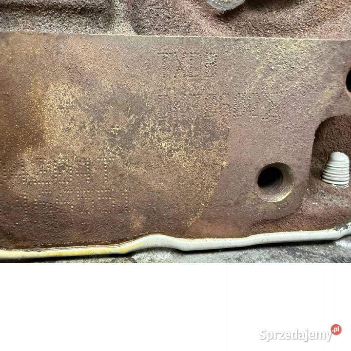 SILNIK TXDB Ford Focus III MK3 C C II 20 TDCI osobowe Chełm