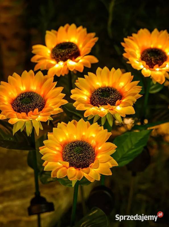 Lampa solarna ogrodowa wbijana Słonecznik Limanowa