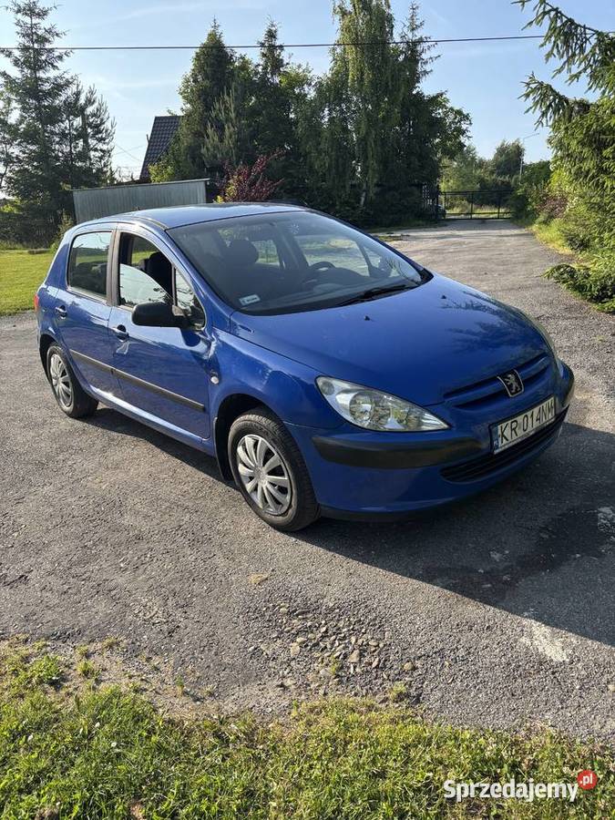 Peugeot 307 XR 14 8V 2002r