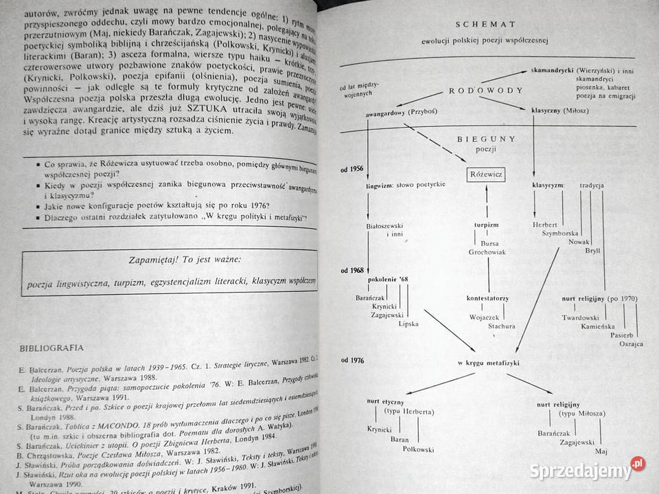 Literatura współczesna Podręcznik klas sprzedam