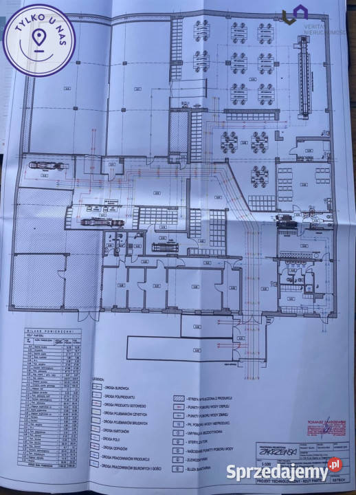 Lokal Ruda Śląska 1308m2 1308m2 Wynajem śląskie