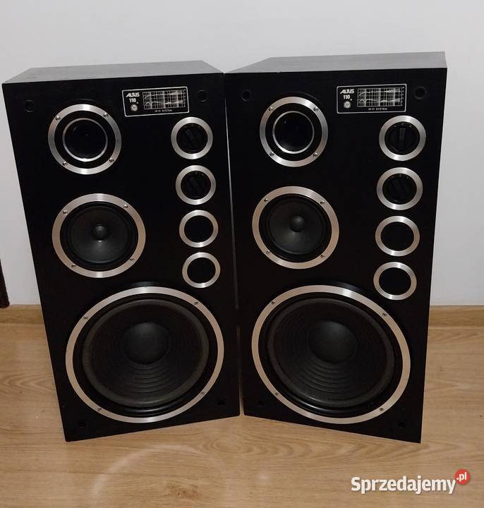 Kolumny Altus 110 Pińczów