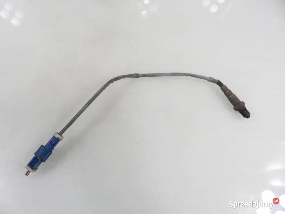 SONDA LAMBDA FORD FOCUS II 16 SHDB 0258006601 sprzedam