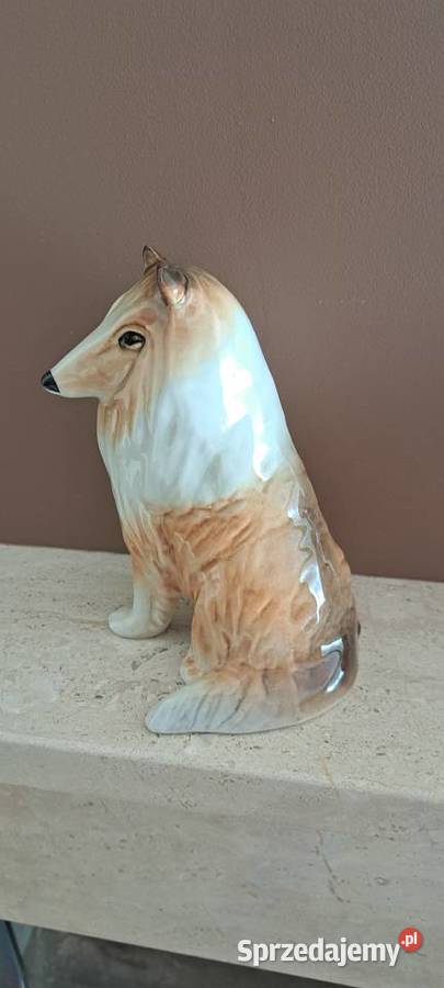 Owczarek szkocki Collie porcelanowa figurka duża sprzedam