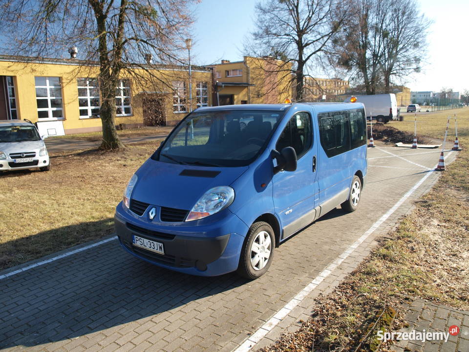 Renault Trafic wielkopolskie Słupca sprzedam