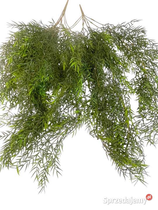 Aspargus Pnącze Ciemna Zieleń Sztuczne kwiaty Kompozycje kwiatowe mazowieckie Warszawa