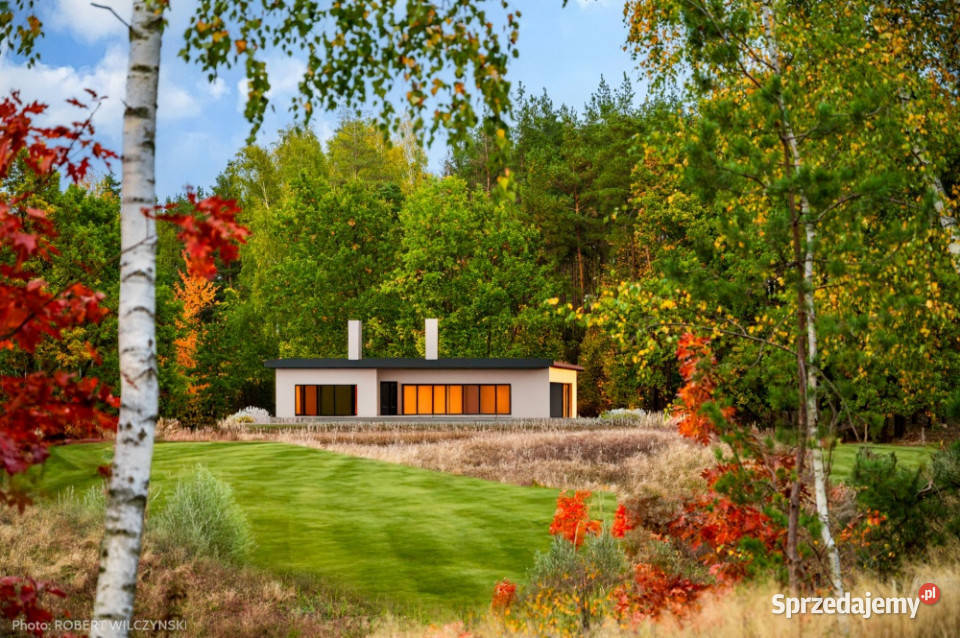 Mazowsze działka marzeń na wzgórzu las i cisza Jeziórka