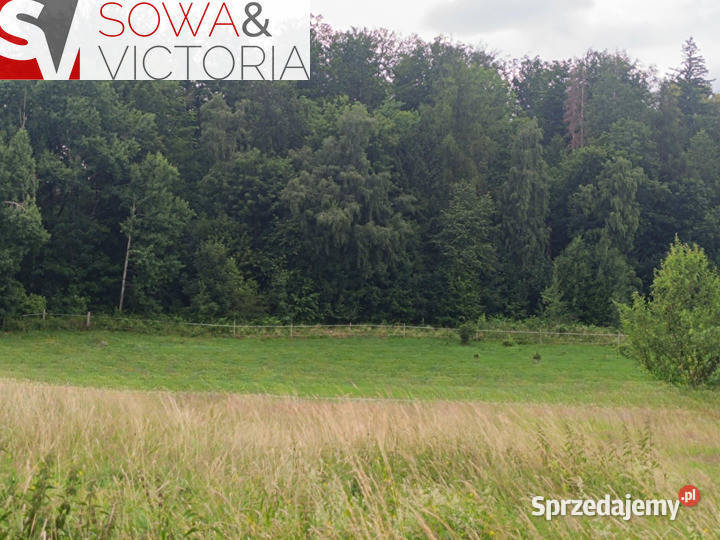 Działka lesie w sąsiedztwie zalewu utwardzona Stare Bogaczowice