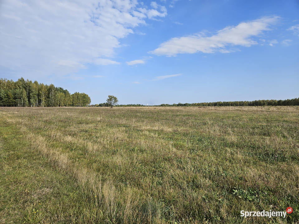 Działka bud Bobrowniki 1200M2 WZ dookoła LAS