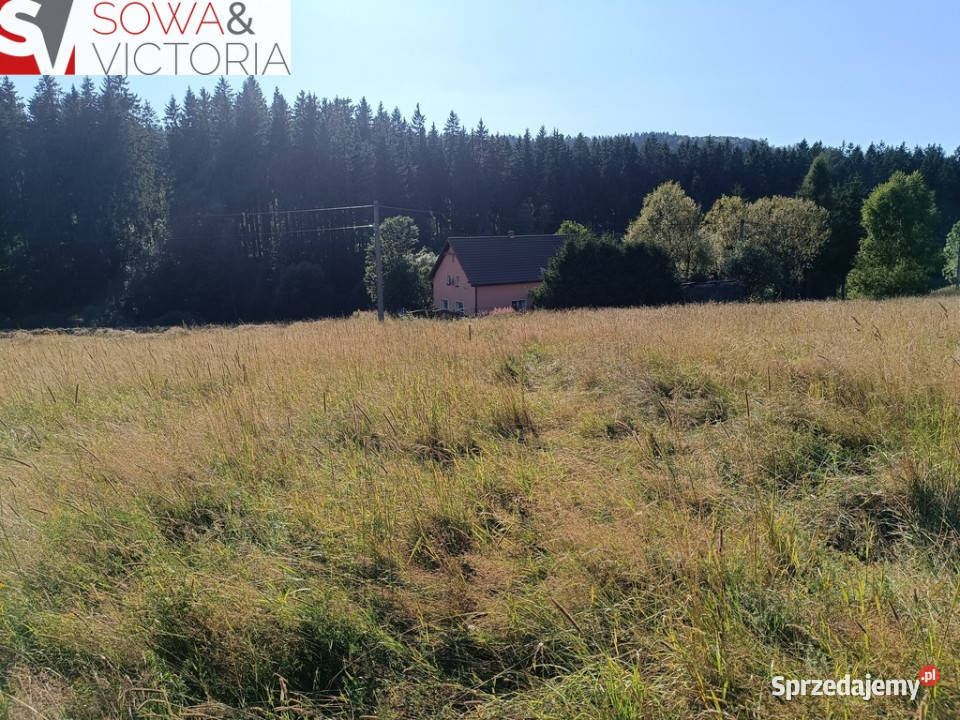 Widokowe działki w Górach Sowich dolnośląskie