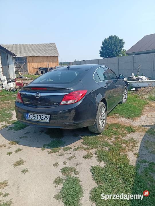 Opel Insignia Tchórzew