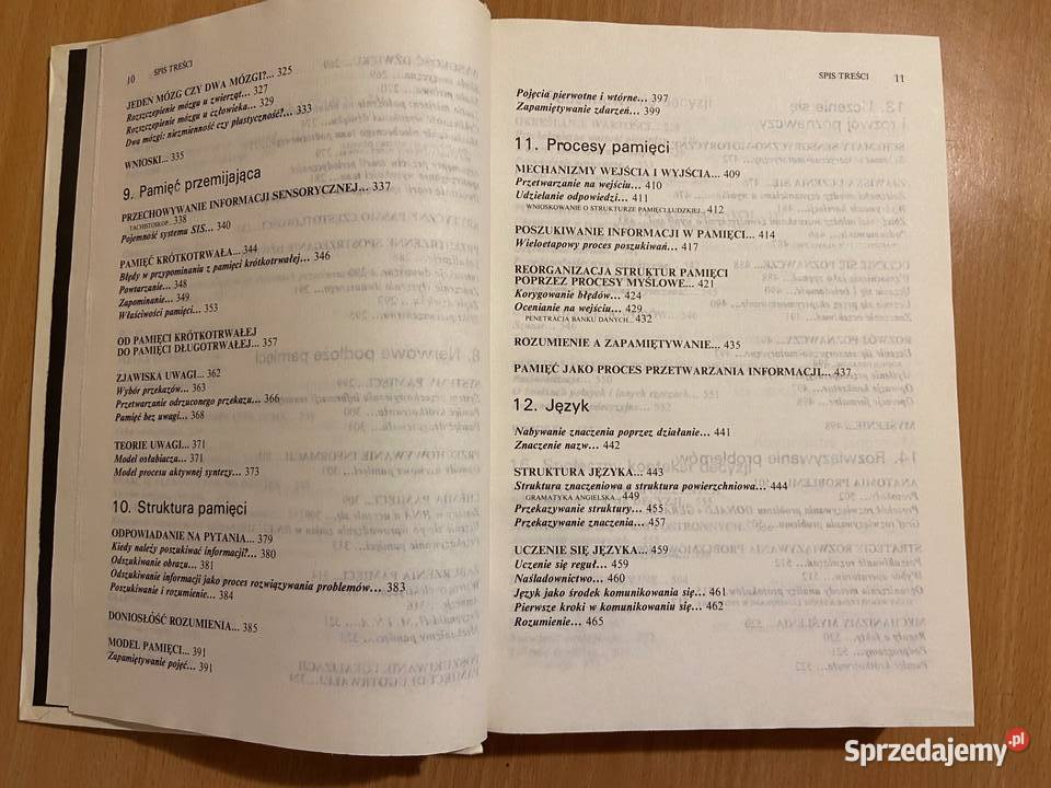 Procesy przetwarzania informacji u człowieka Katowice sprzedam