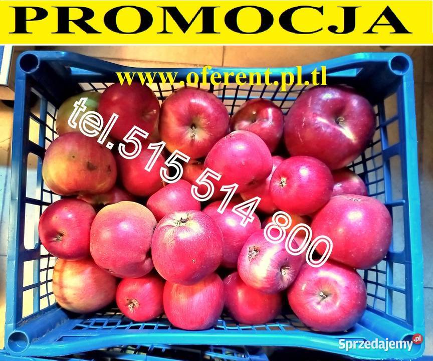 Owoce Gruszki Faworytka Klapsa sprzedamBez Milanówek