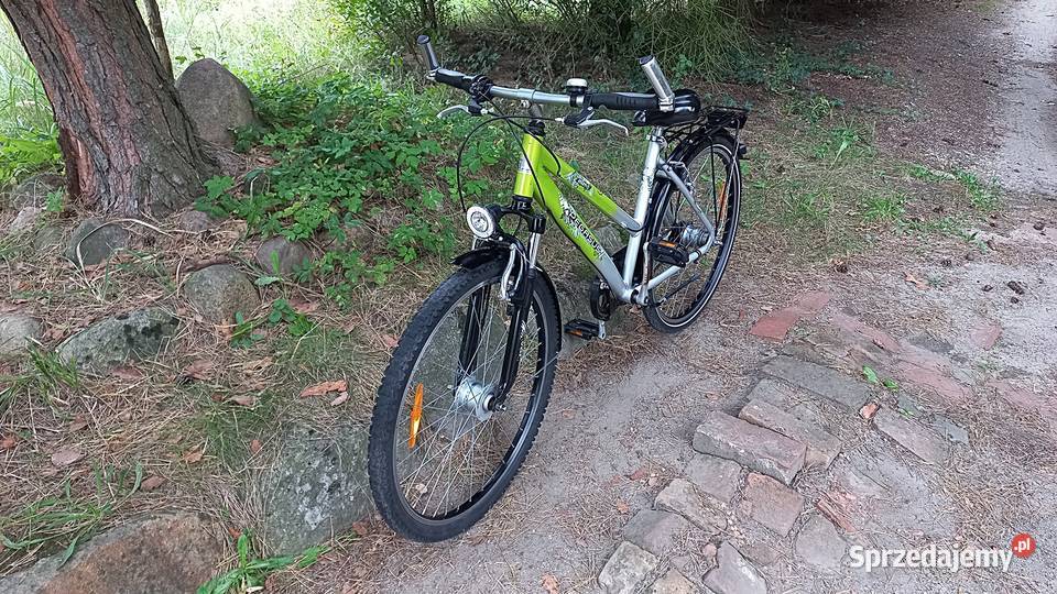 Alu Rower Miejski Młodzieżowy Pegasus Avanti