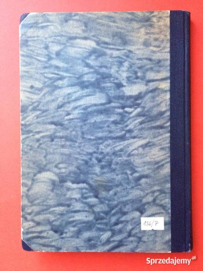 371 Szczecin Fakty I Liczby